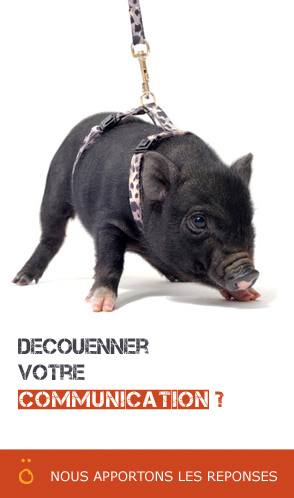 agence de com rouen